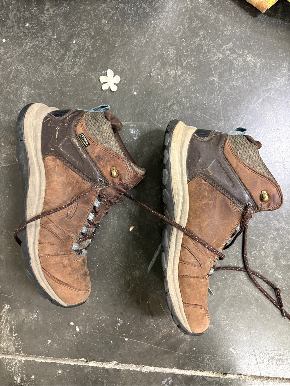 Keen Terradora mid hiking boot